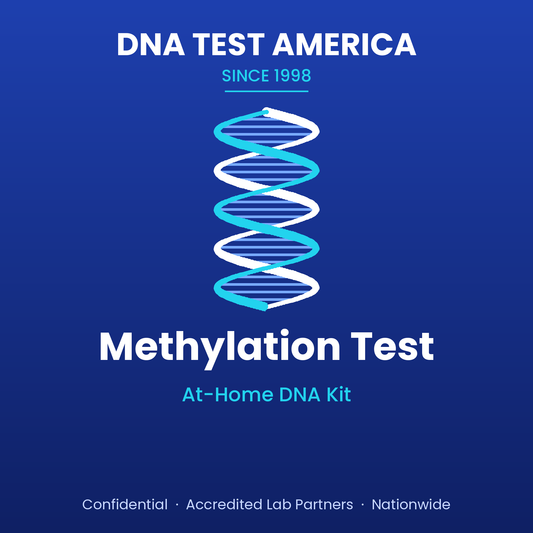 Methylation Test (At-Home DNA Kit)